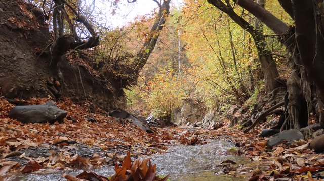 بازدید از روستای دهبار